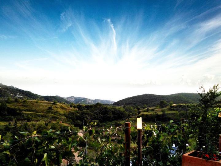 Hotel La Tinensa Puebla de Benifasar Bagian luar foto